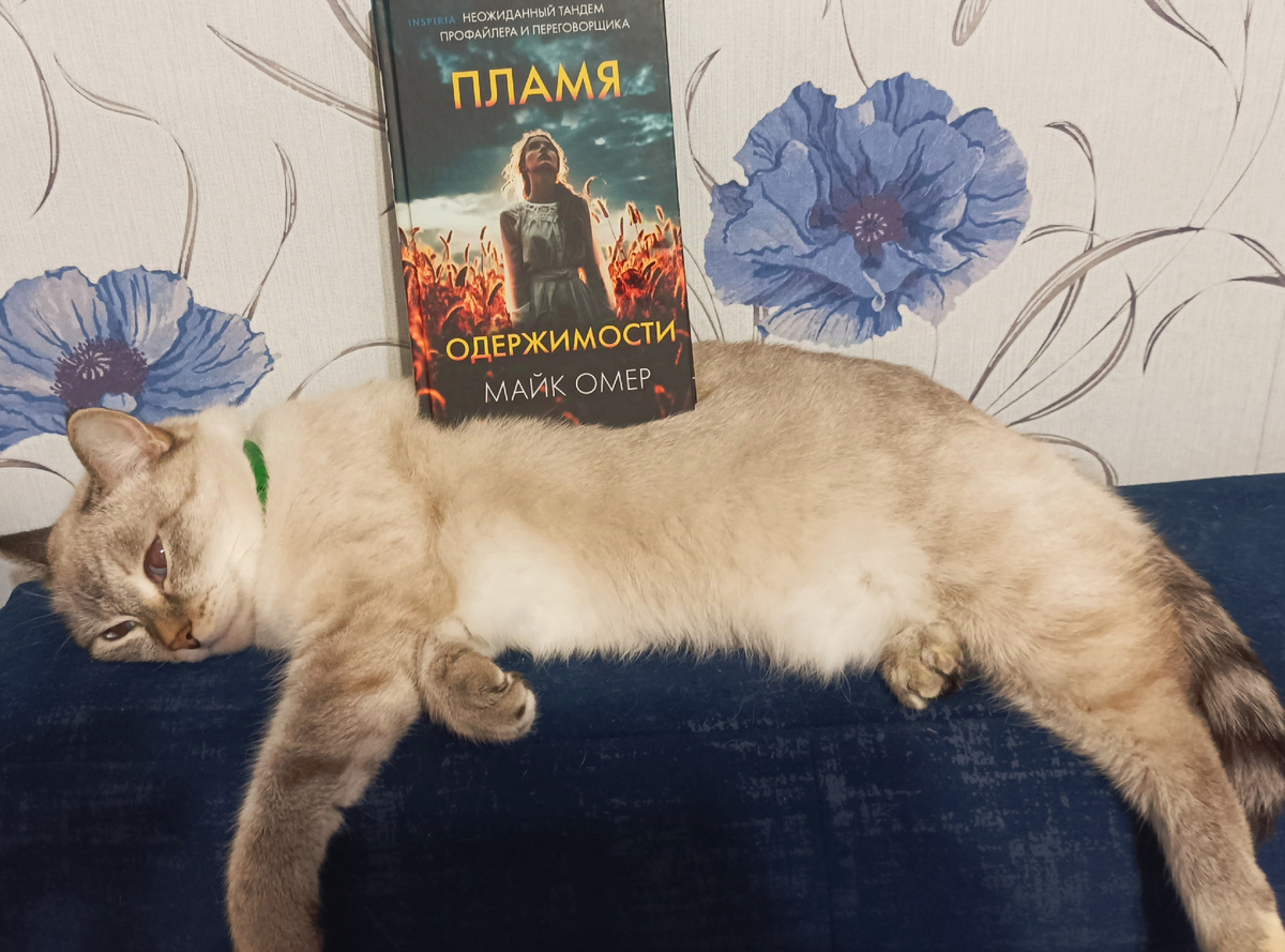 Финальную книгу трилогии взялась представлять Дженька.  