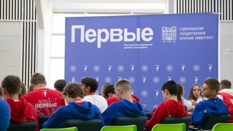      Фото: ИА «Победа26»