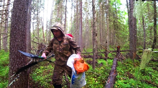 В ТАЁЖНУЮ ГЛУШЬ. СОБРАТЬСЯ с МЫСЛЯМИ и ОТДОХНУТЬ ДУШОЙ. Часть первая.