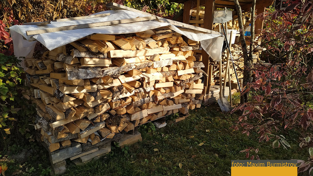 Это дрова или золотые слитки? 14000 рублей за эту жалкую кучку, просто грабеж средь бела дня…