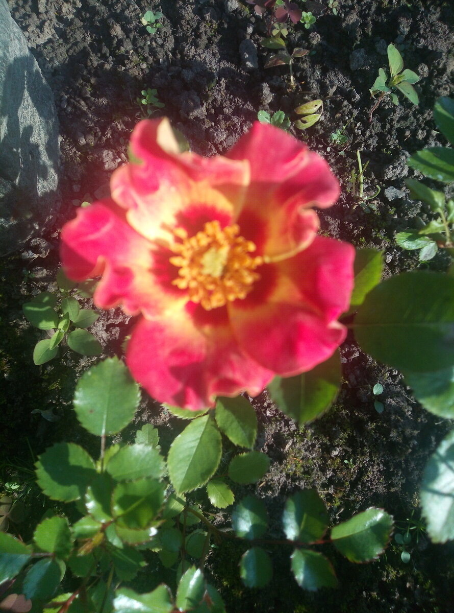 фото Алексея