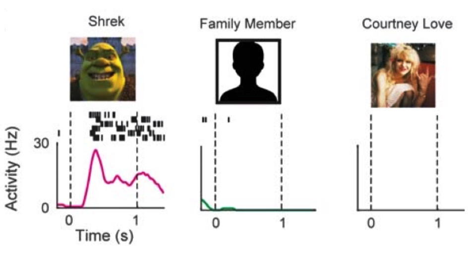   D. E. Dijksterhuis et al. / Science, 2024
