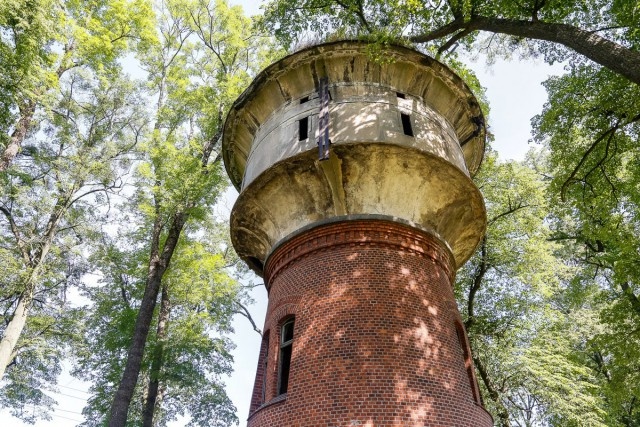   Фото из архива Калининград.Ru