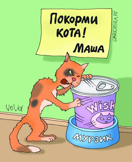 карикатура Владимира Иванова (яндекс-картинки)