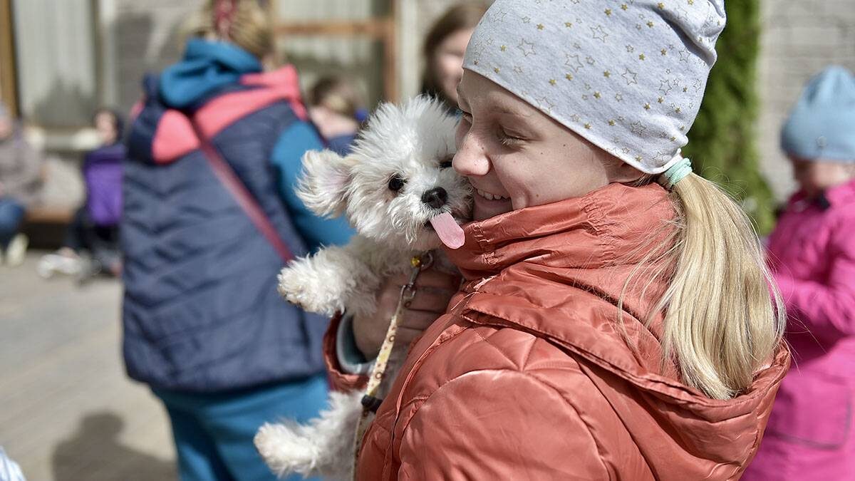    Фото: Наталья Феоктистова / Вечерняя Москва