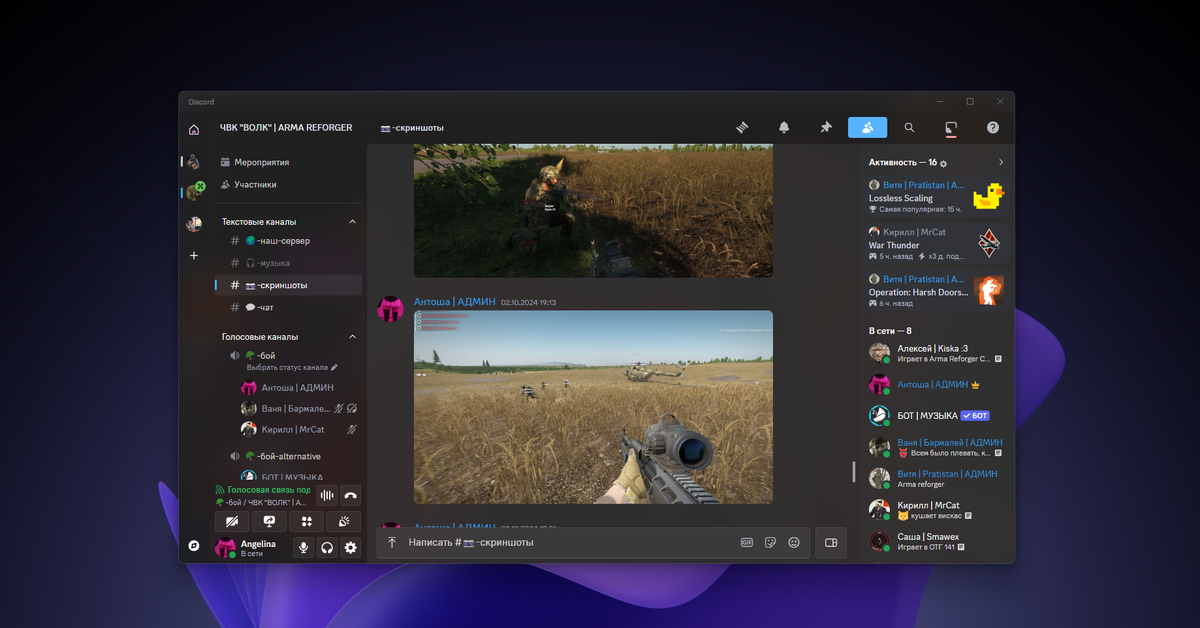 Мой скриншот Discord