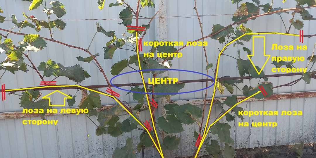 "Сколько не пыталась, не понимаю, как делать обрезку"
