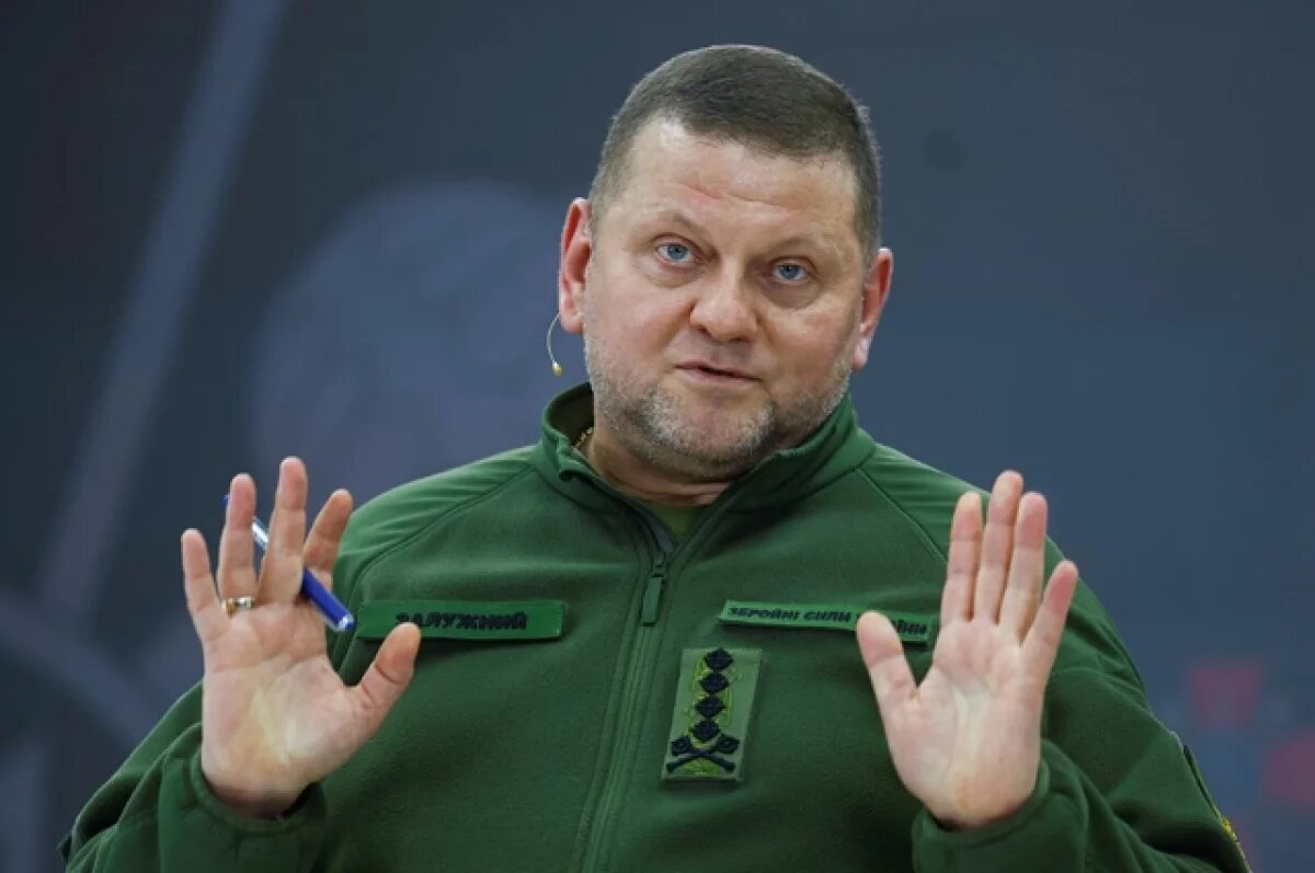    Валерий Залужный