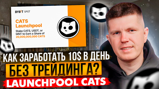 LAUNCHPOOL CATS | Как зарабатывать 10$ в день?