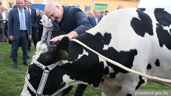     Фото: president.gov.by   
 Текст: Дарья Григоренко