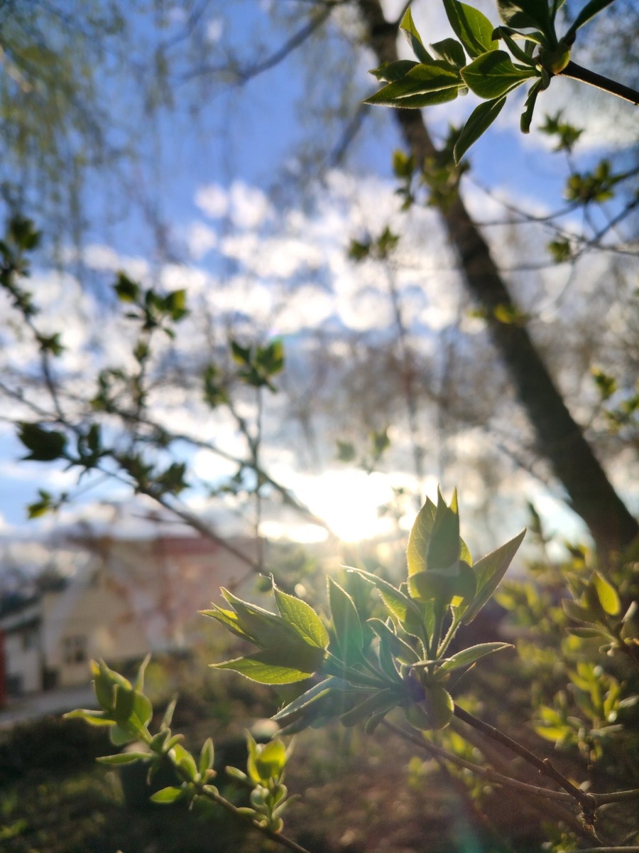 Фото из личного архива автора канала