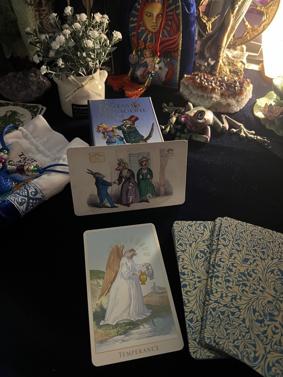 СА -XIV "Умеренность" колоды Таро "Фантастический зверинец"