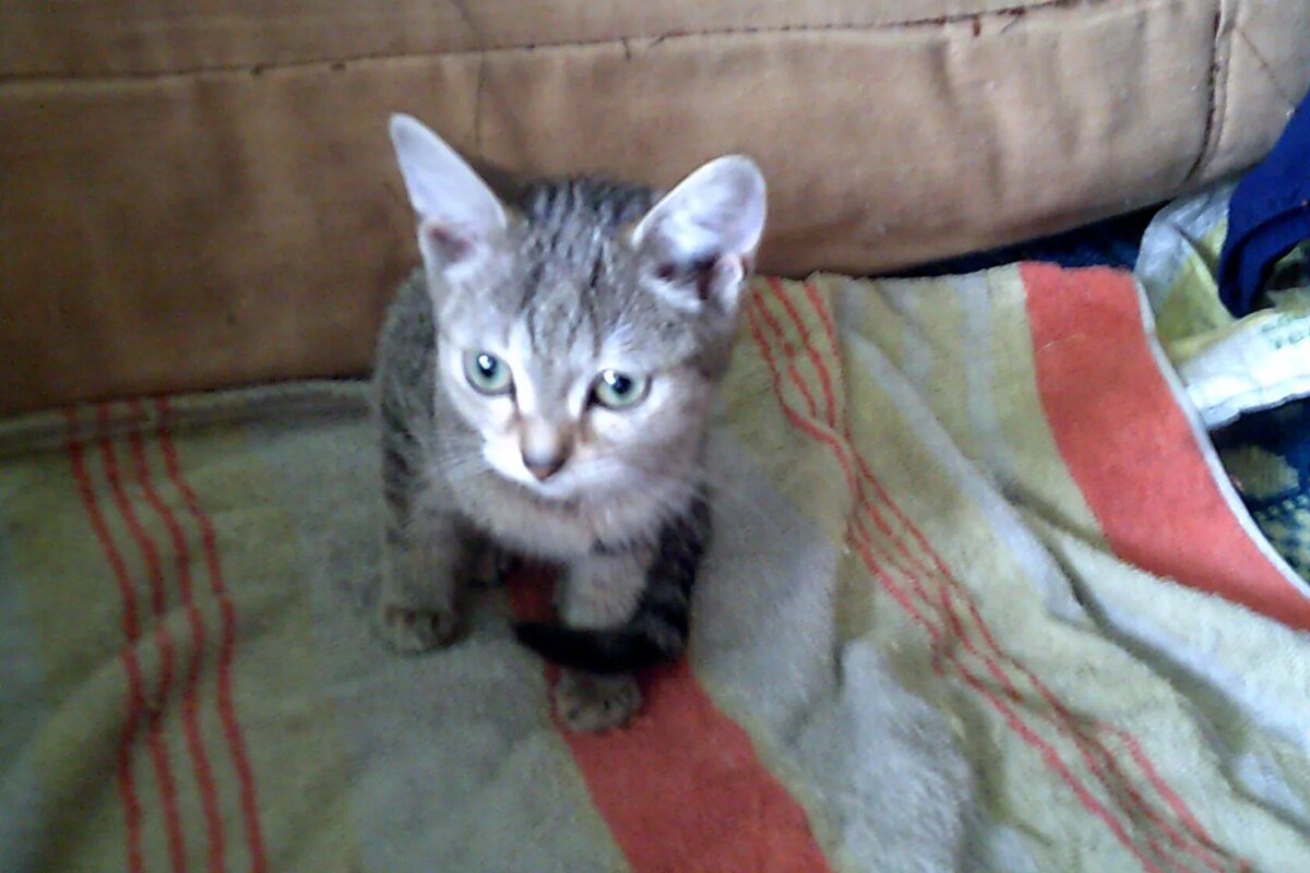 Ничего, малыш, все будет хорошо...