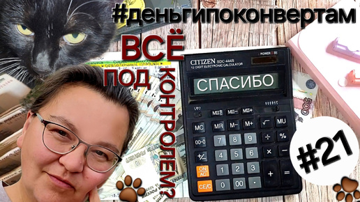 Система денежных конвертов✉️/Распределяю ₽ под контролем🐾/ОДНА В ДЕРЕВНЕ👱🏼‍♀️