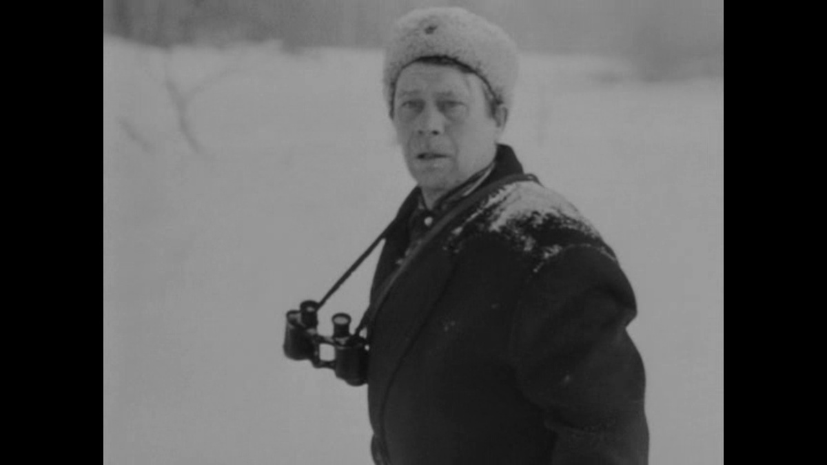 Партизанский командир. Кадр из фильма