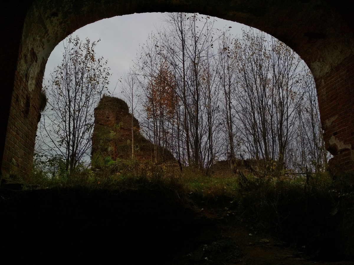 Фото автора - #di_vito