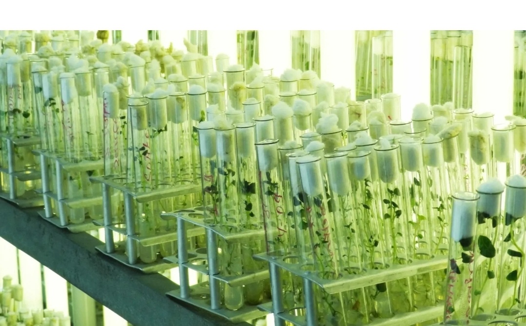 Фото из открытого источника