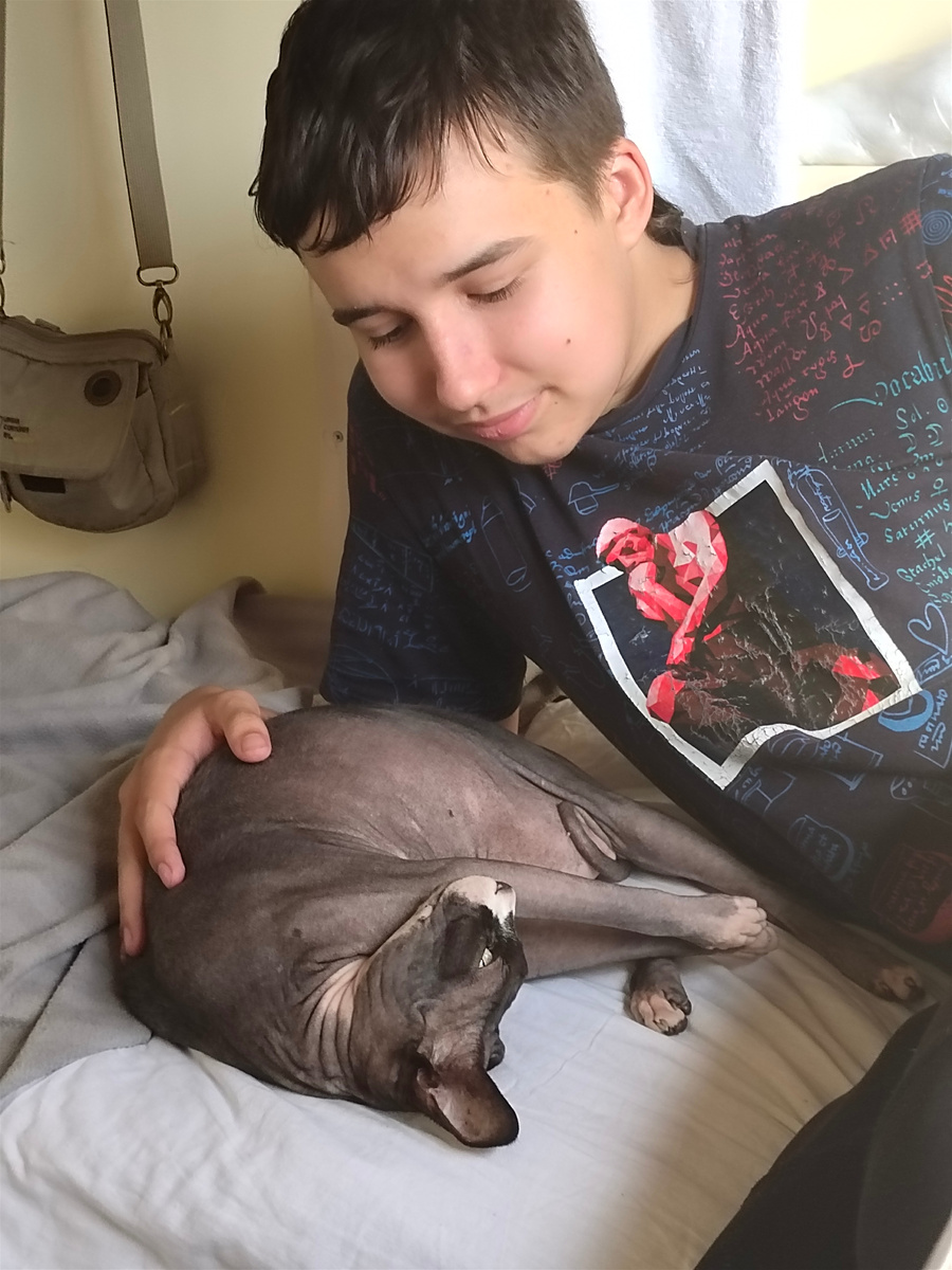 Едем с кошкой в поезде 