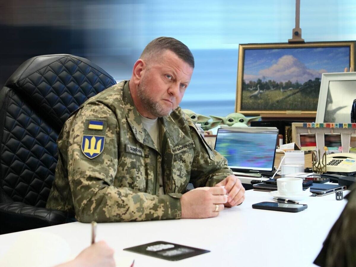    Главком ВСУ Валерий Залужный© Фото : Страница В.Залужного в соцсетях