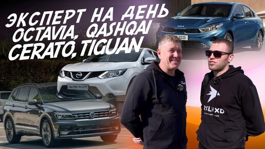 НАЙТИ ЗА ДЕНЬ! OCTAVIA, QASHQAI, KIA CERATO, VW TIGUAN! АВТОПОДБОР AUTOFACT!