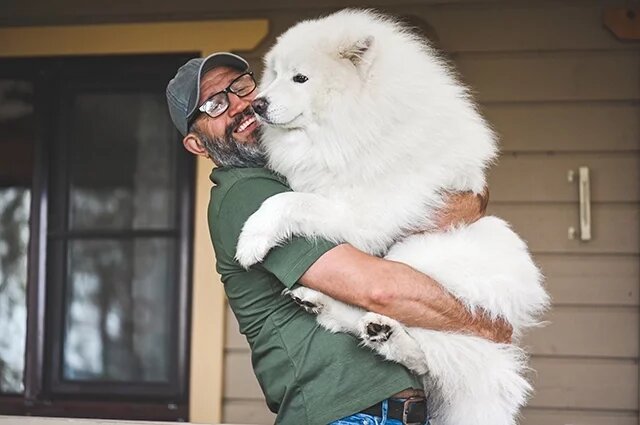    Почему порода собак называется самоед и едят ли они себя?