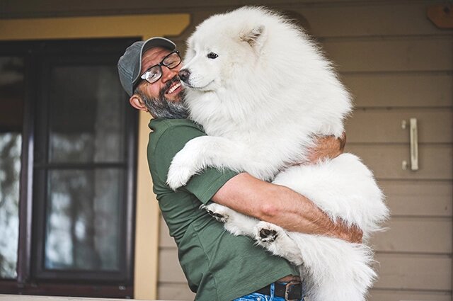    Взрослая собака. Фото: istockphoto.com