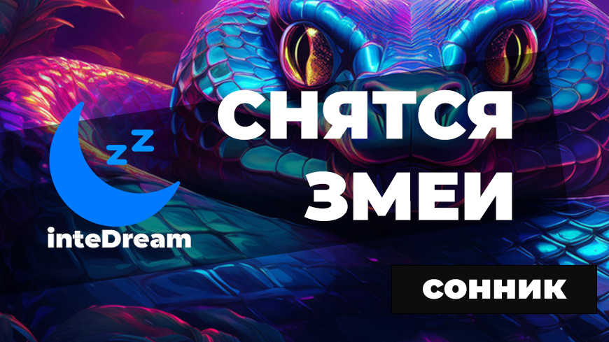 Интерпретация про змей во снах подходит как для мужчин, так и для женщин
