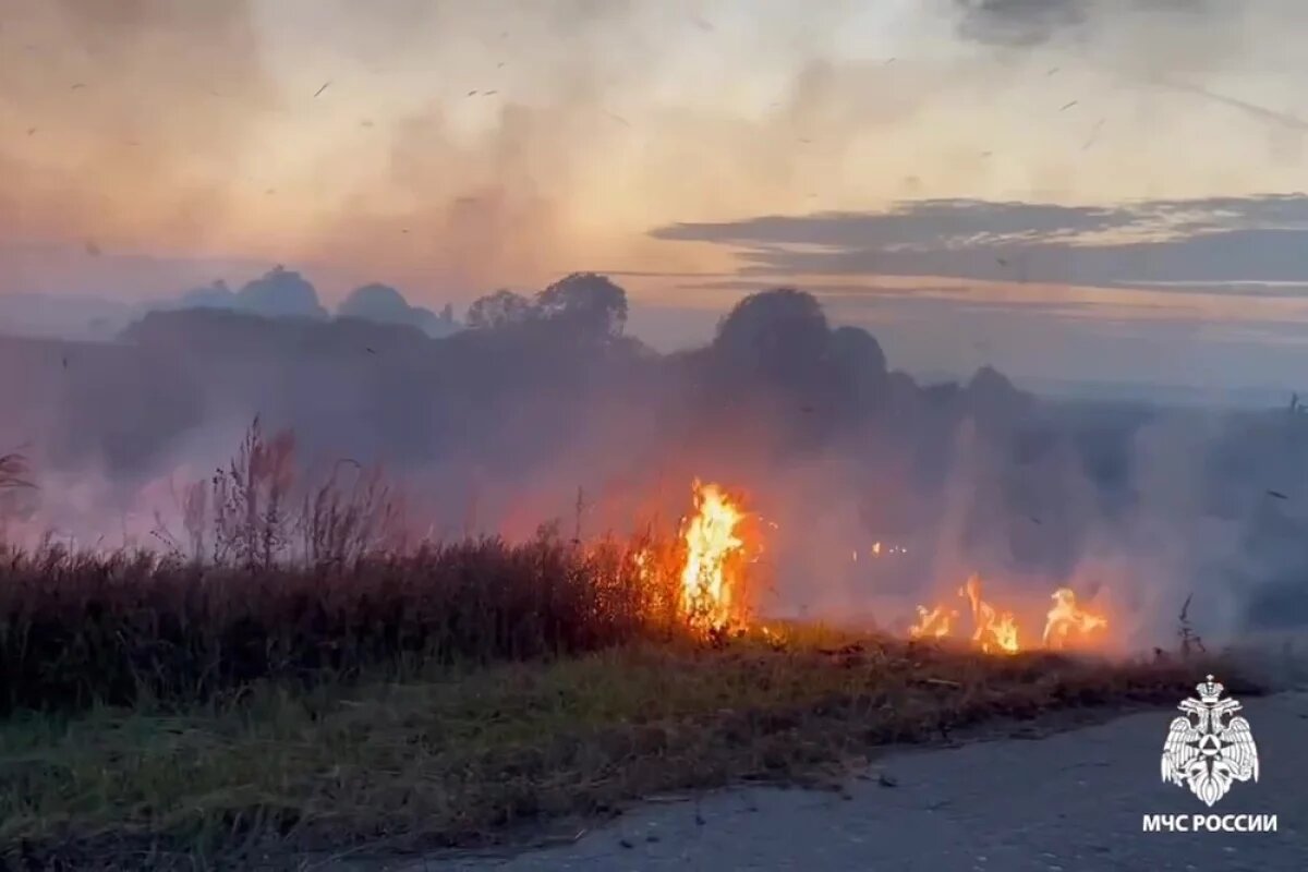    Приморцев просят воздержаться от необдуманных поступков в лесу