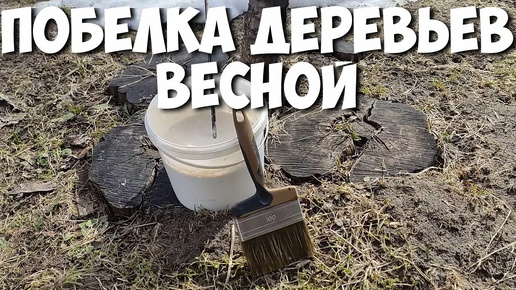 Этой весной видео. Яблоня цветет футаж. Поздравление с весной. Пробуждение весны видео для детей. Петропавловск камчатский май природа весной.