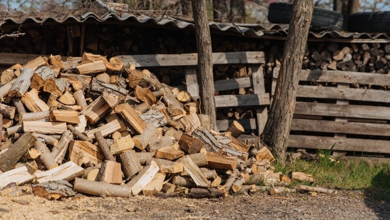 Фото: @alexeygalutva / ru.freepik.com