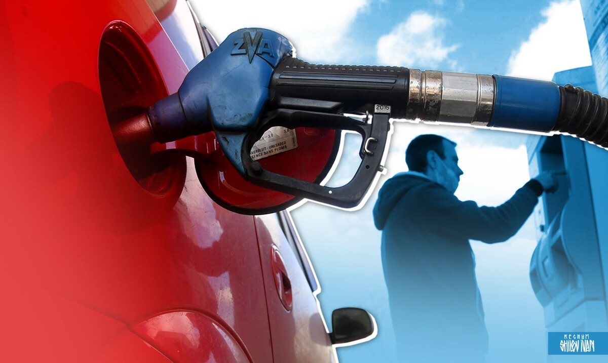    АЗС / Источник: Иван Шилов (с) ИА REGNUM