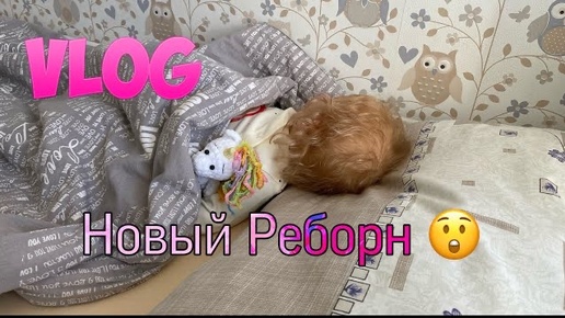 Vlog Утро с Реборном | Morning with Reborn Doll