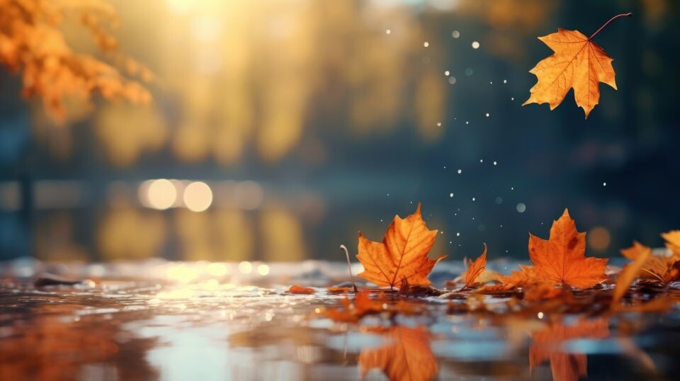    Осень. Октябрь.. Источник: ru.freepik.com