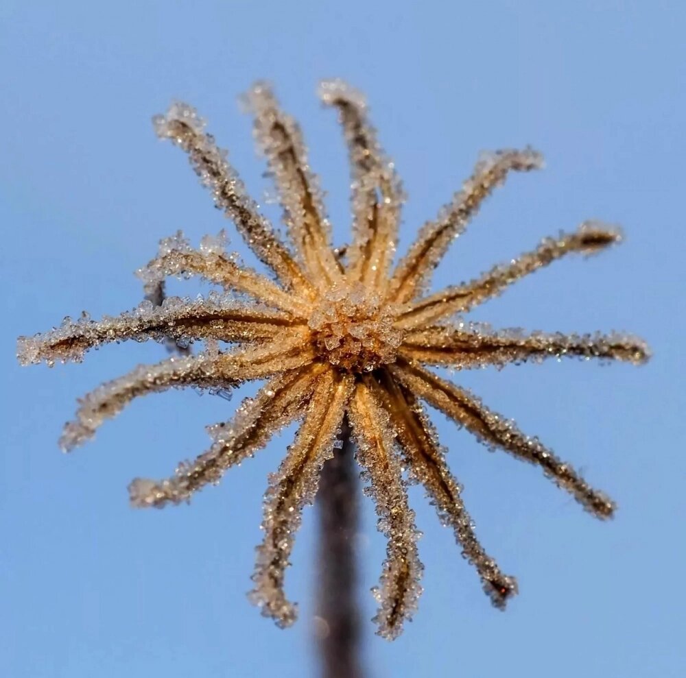    Фото: Личный архив/ Светлана Кулёва