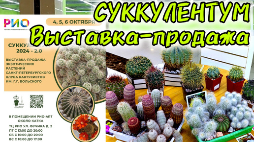 СУККУЛЕНТУМ/ ВЫСТАВКА-ПРОДАЖА ЭКЗОТИЧЕСКИХ РАСТЕНИЙ В САНКТ-ПЕТЕРБУРГЕ 2024