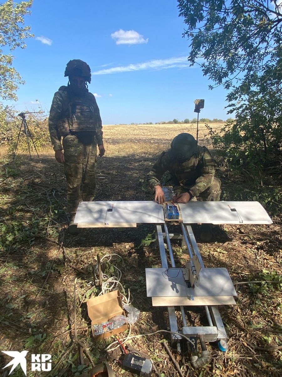   Дмитрий СТЕШИН