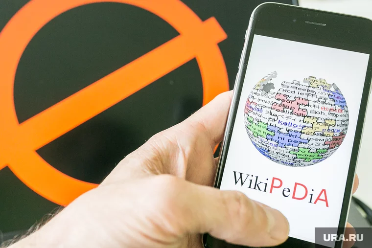 Вместо «Википедии» правительству пришлось «убить» Большую российскую энциклопедию Фото: Денис Моргунов © URA.RU