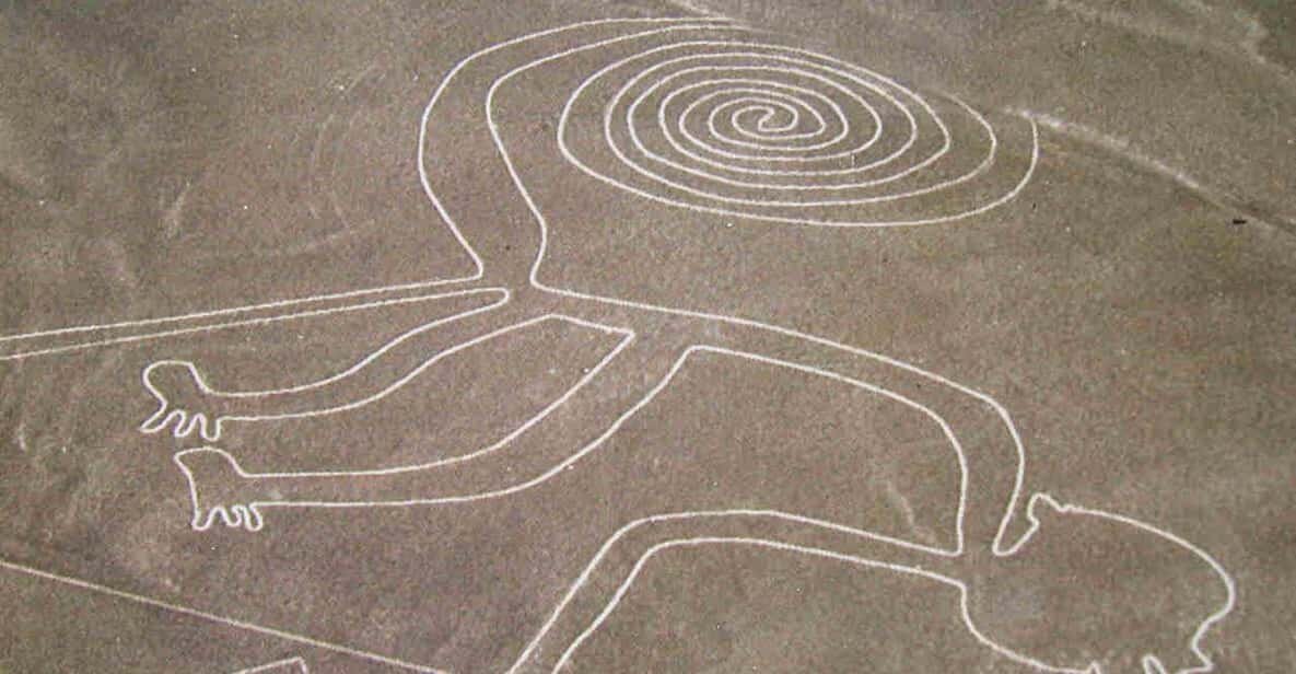 Линии Наска — это сеть огромных рисунков и геометрических фигур, созданных древней цивилизацией Наска между 500 годом до нашей эры и 500 годом нашей эры. Рисунки изображают множество животных, растений и геометрических узоров, которые можно увидеть только с высоты птичьего полета. Среди самых известных фигур — колибри, обезьяна, паук и кондор.Эти изображения были созданы путем удаления верхнего слоя темной пустынной гальки, чтобы обнажить светлую почву под ней. Удивительно, но несмотря на их возраст, большинство линий сохранились до наших дней, что объясняется крайне сухим климатом региона.