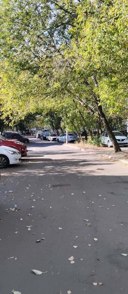 Фото автора. Осень.