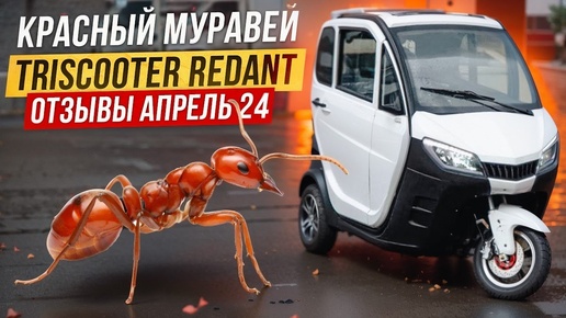 Отзывы TRISCOOTER с кабиной АПРЕЛЬ 24 КУПИТЬ 8800 777 40 97