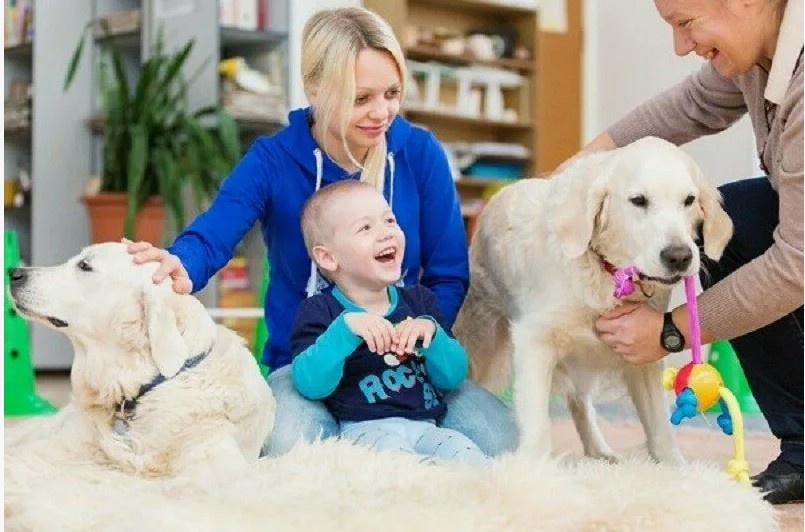 Фото: Благотворительный проект Dr.Pet, Getty Images