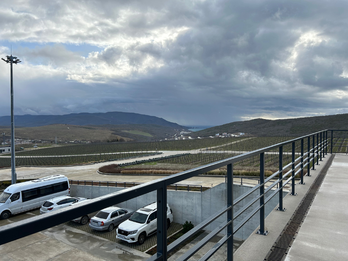 3 января 2024 года...