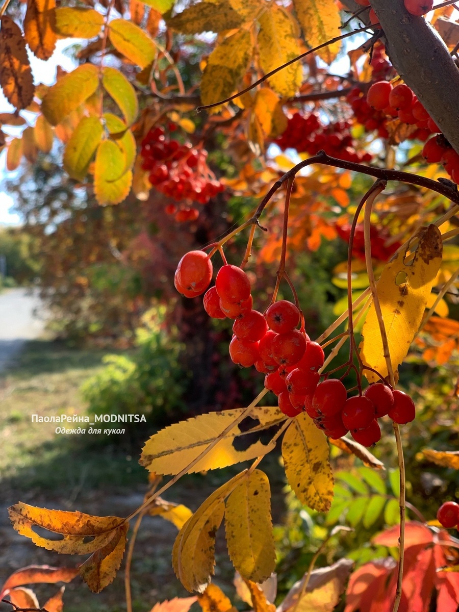Фото мои, сделанные специально для марафона
