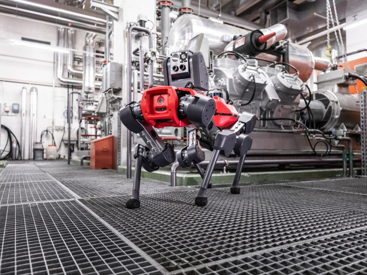    От него не спастись: робопса ANYMal научили карабкаться по лестницам [ВИДЕО]