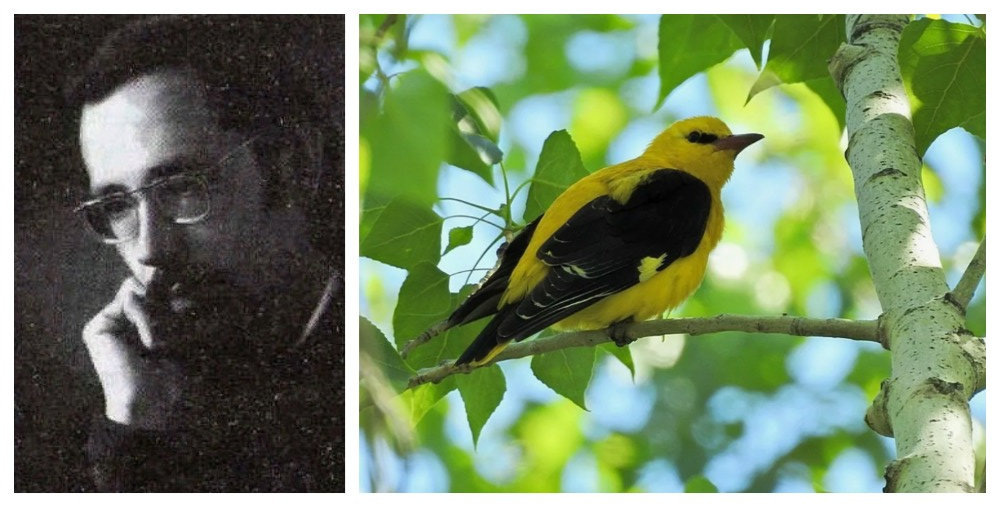 Юрий Вязовченко