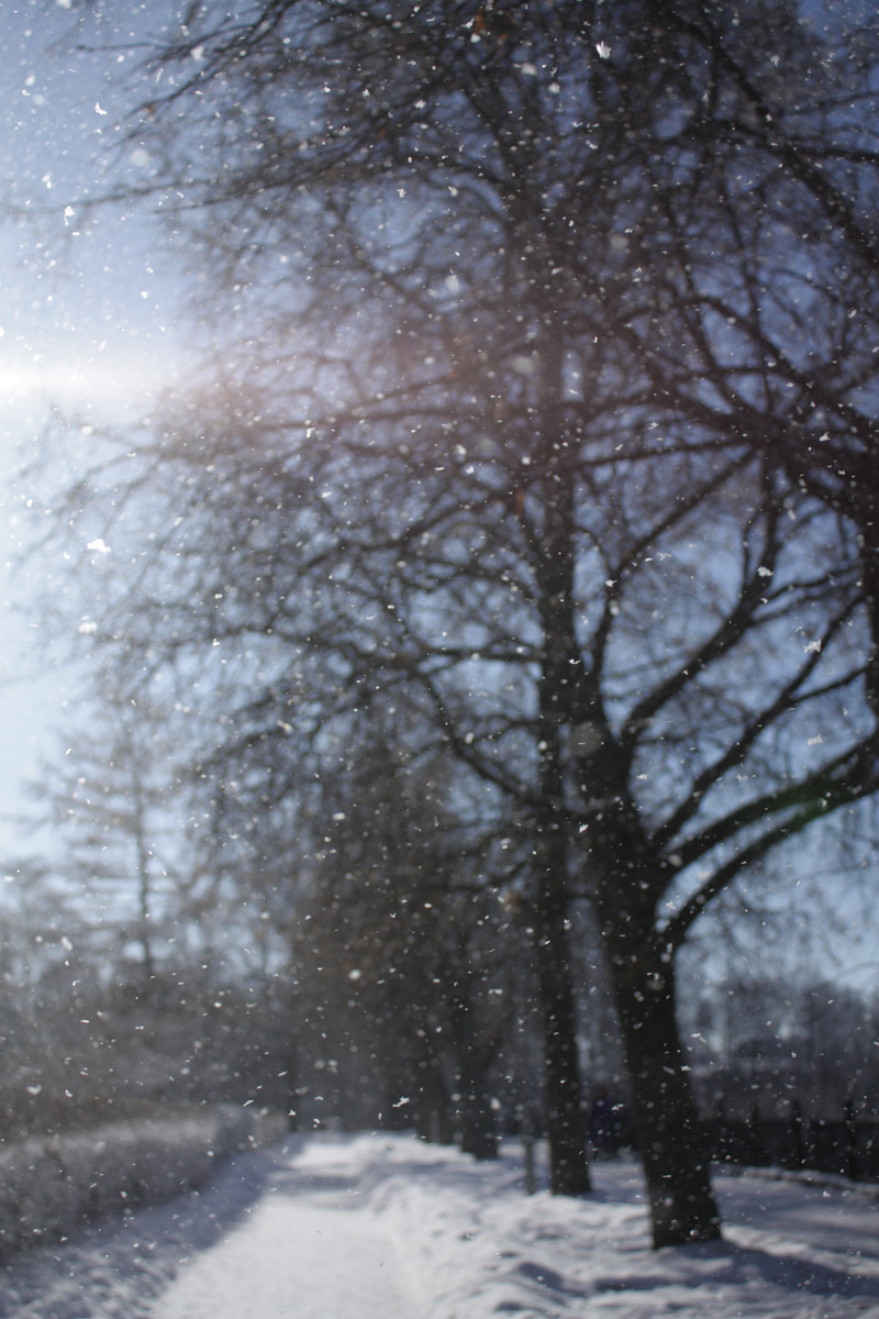 Зима в Рязани