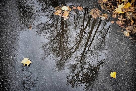    Вильфанд спрогнозировал окончание периода засухи в ряде российских регионов