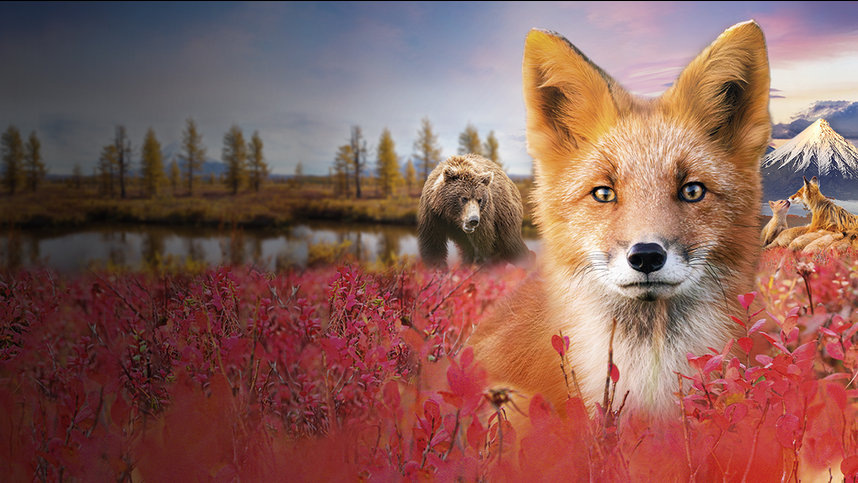 кадр из фильма