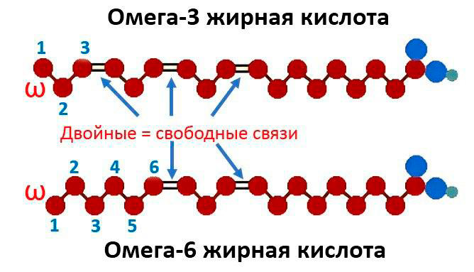 Двойные связи в омега 3 и 6