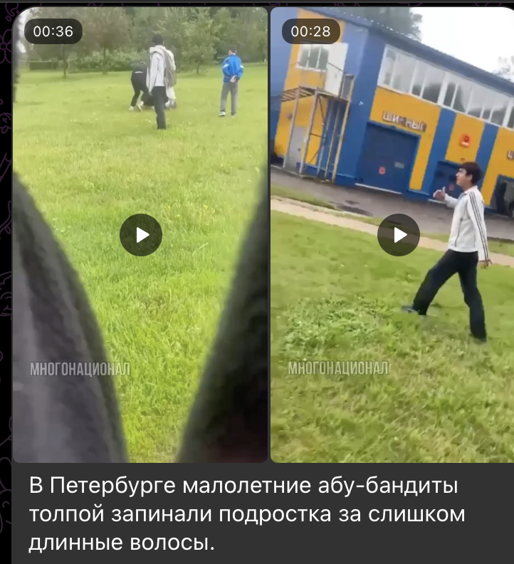    Скриншот: t.me/mnogonazi/17794